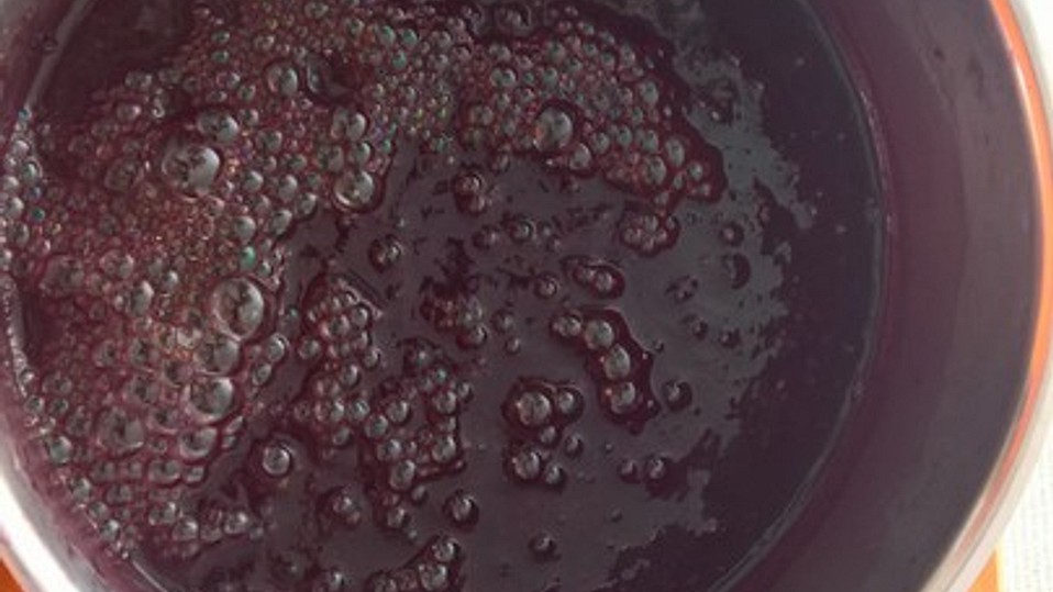 Holunderbeerensuppe von Sonja