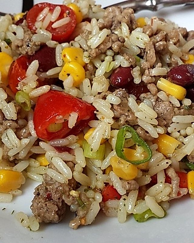 Reis - Hackfleisch - Salat