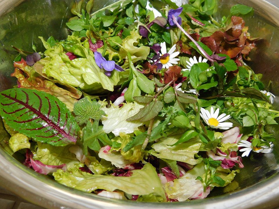 Wildkräutersalat für die Frühjahrskur| Chefkoch