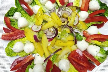 Mediterraner Salat mit Mini - Mozzarella