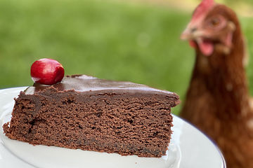 Lieblings Schokoladenkuchen Von Ulixan Chefkoch