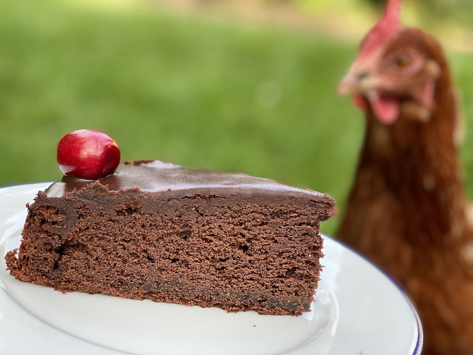 Lieblings - Schokoladenkuchen von Ulixan | Chefkoch