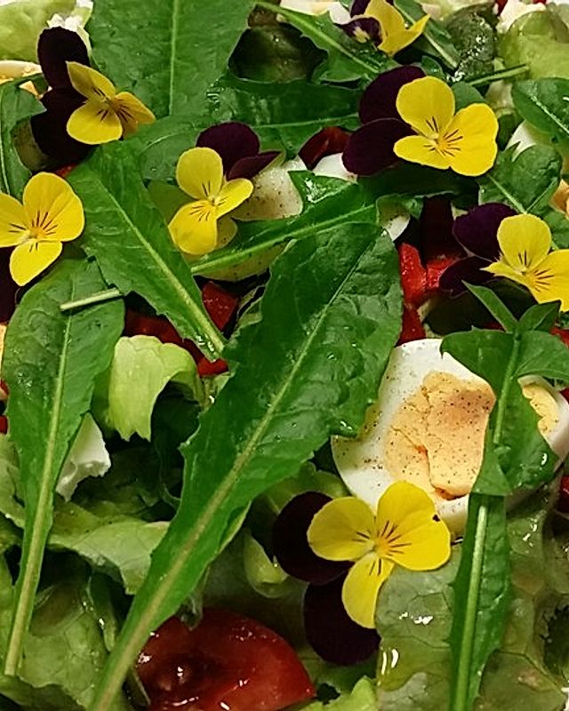 Löwenzahn - Paprika - Salat mit Ei und Gänseblümchen