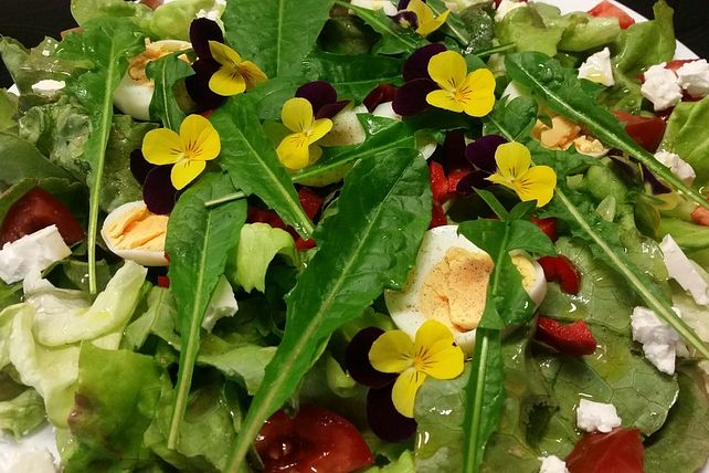 Löwenzahn - Paprika - Salat mit Ei und Gänseblümchen von fechter| Chefkoch