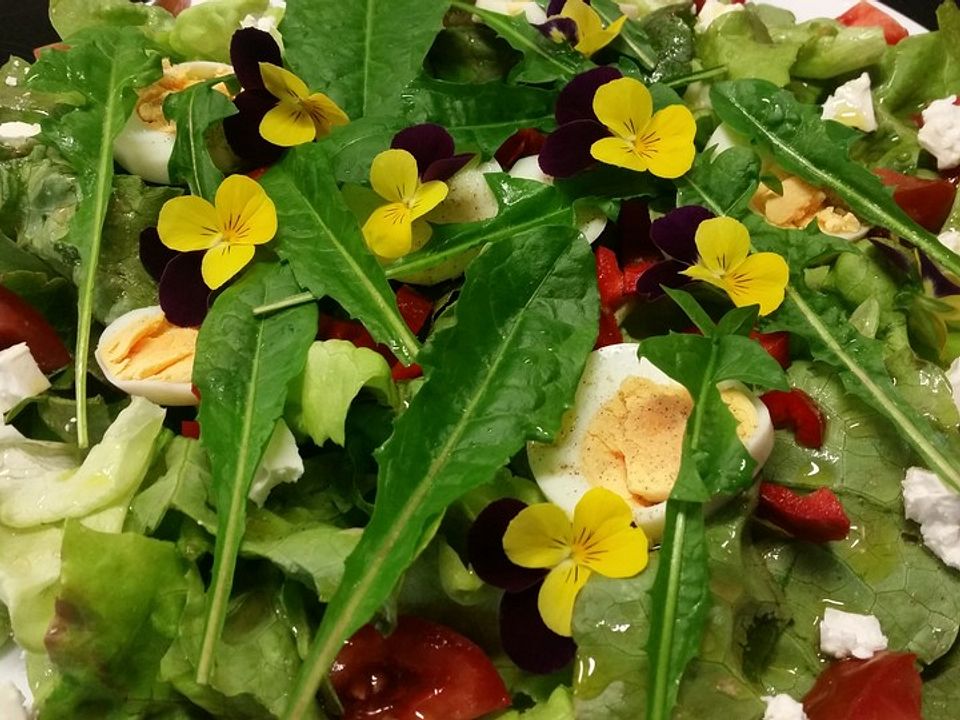 Löwenzahn - Paprika - Salat mit Ei und Gänseblümchen von fechter| Chefkoch