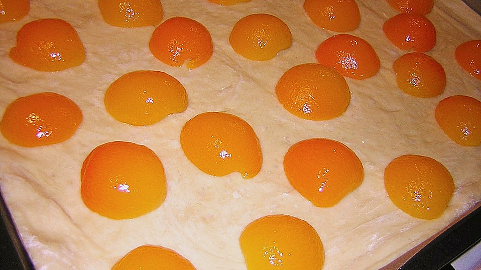 Aprikosenstreuselkuchen vom Blech von sollasi Aprikosenstreuselkuchen vom Blech von sollasi