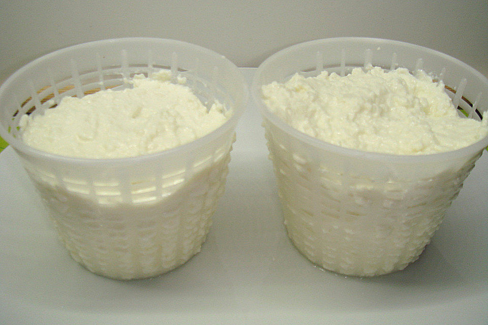 Ricotta Käse