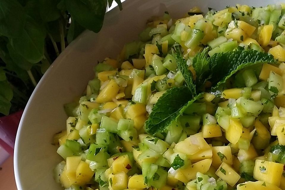 Mango - Gurken - Salat