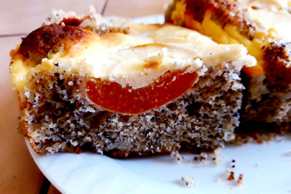 Brisanes Aprikosenkuchen mit Mohn und Quark