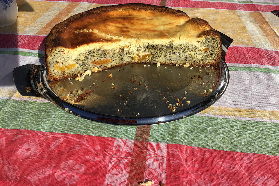 Brisanes Aprikosenkuchen mit Mohn und Quark