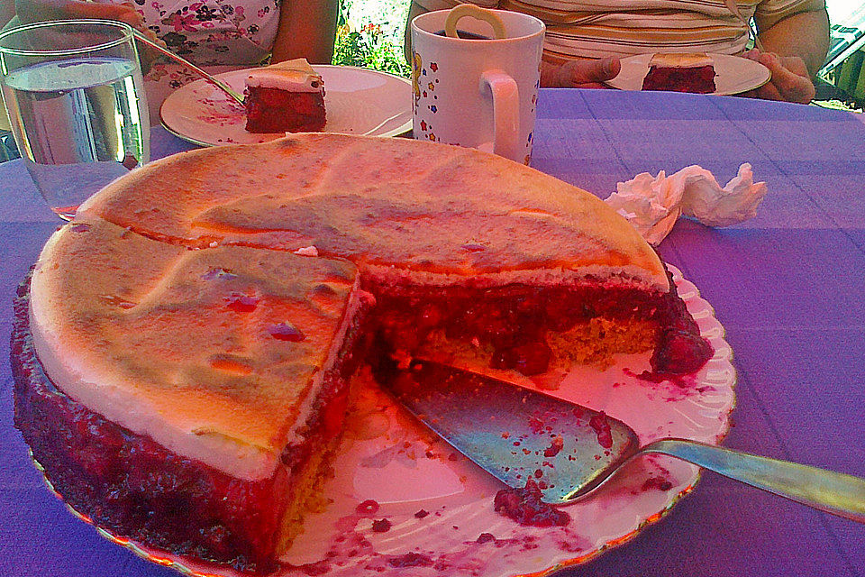 Beerentorte mit Baiserdecke