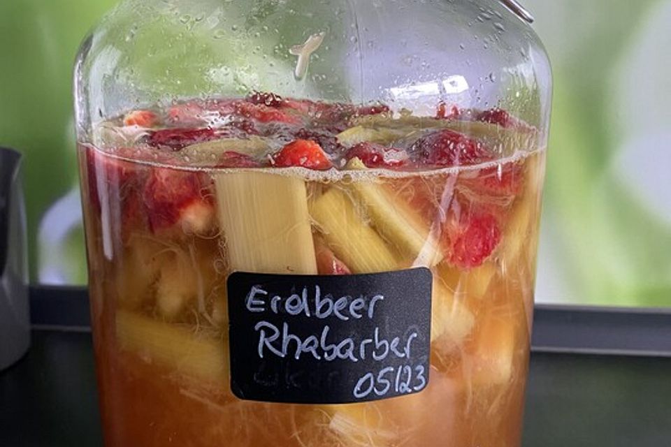 Erdbeer - Rhabarber - Likör