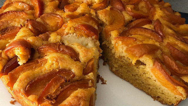 Extra fruchtiger Marillenkuchen von Rocky73