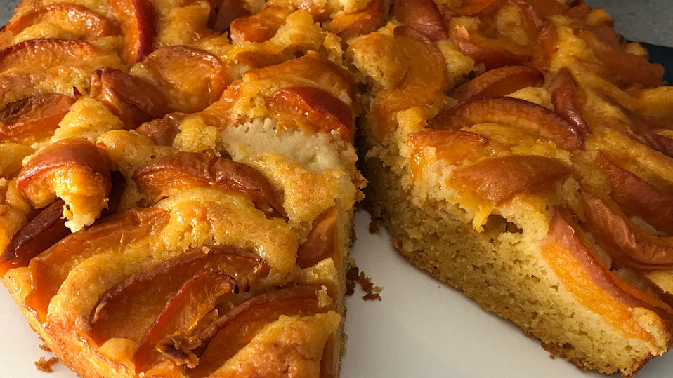 Extra fruchtiger Marillenkuchen von Rocky73 Extra fruchtiger Marillenkuchen von Rocky73