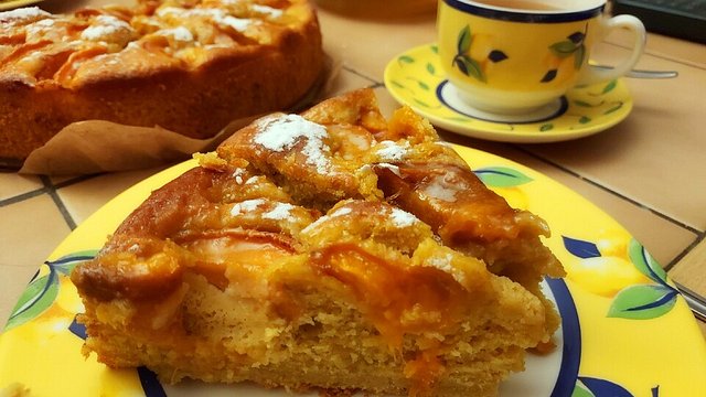 Extra fruchtiger Marillenkuchen von Rocky73 Extra fruchtiger Marillenkuchen von Rocky73