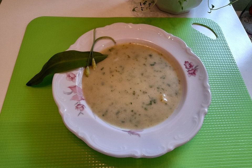 Zucchinicremesuppe mit Bärlauch