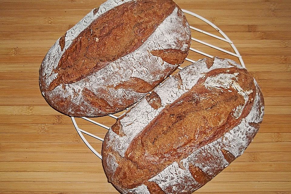 Würzig - malziges Roggenmischbrot mit Sauerteig