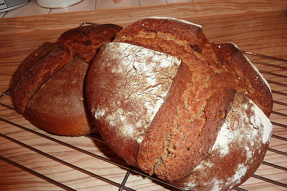 Würzig - malziges Roggenmischbrot mit Sauerteig