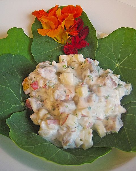 Matjessalat Rezepte - die besten Rezepte 2024 | Chefkoch