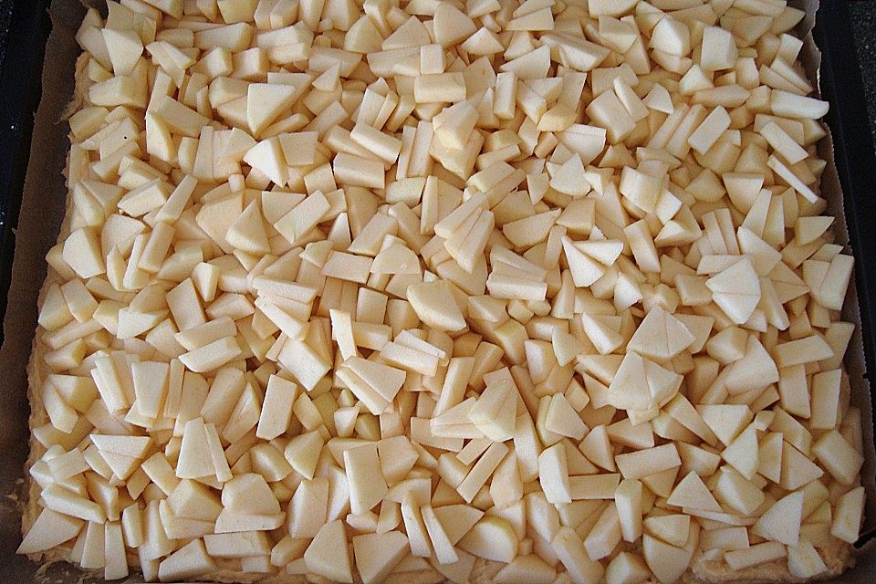Apfelkuchen mit Kokosstreusel Apfelkuchen mit Kokosstreusel