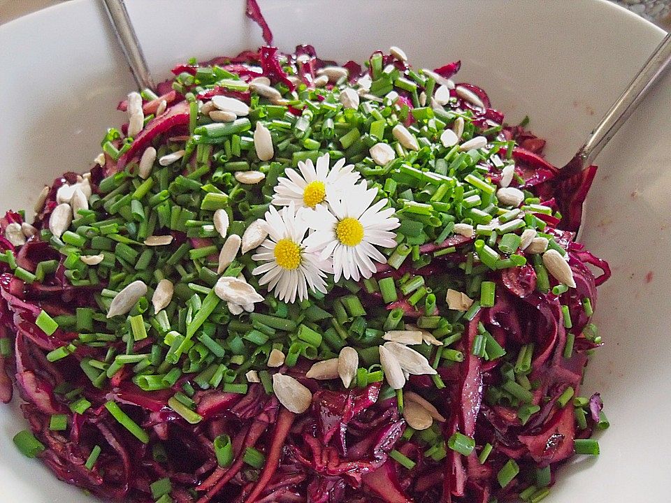 Rotkohlsalat von Schoppetto| Chefkoch