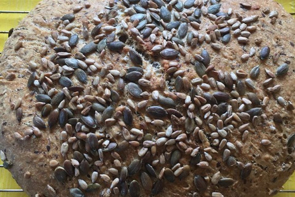 Bräterbrot mit Vollkornmehl und Haferflocken Bräterbrot mit Vollkornmehl und Haferflocken