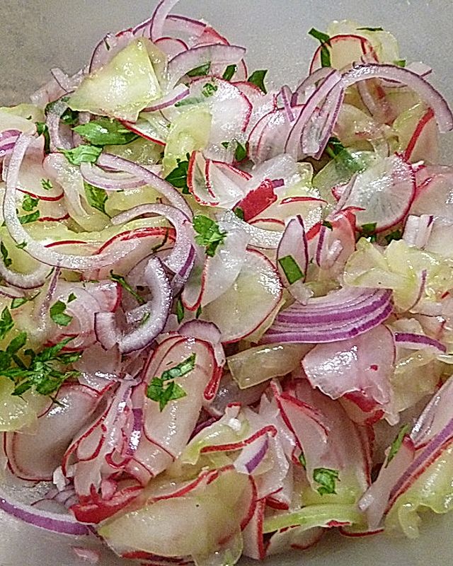 Radieschen - Gurken Salat