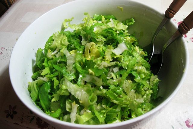 Endiviensalat von grisu022