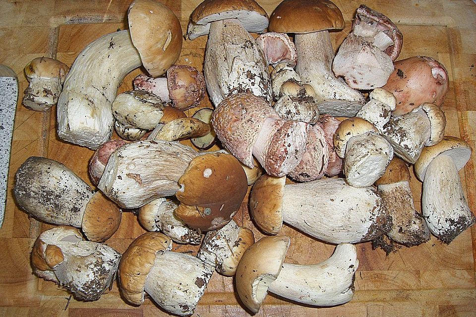 Gebratene Waldpilze - gebrotn`e Schwamme