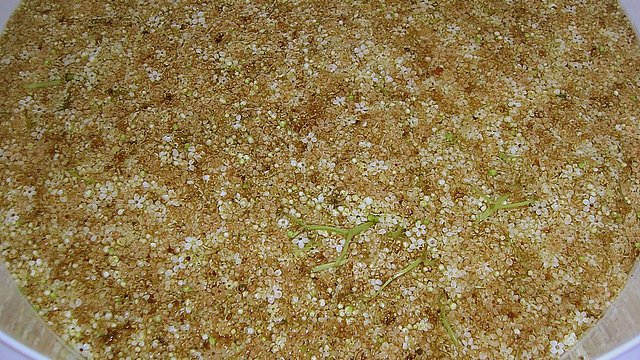 Holunderpunsch von kaya1307 Holunderpunsch von kaya1307