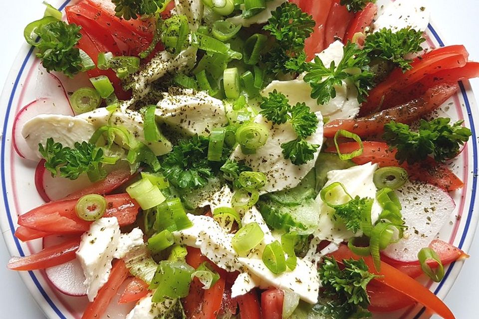 Tomaten - Mozarella - Gurken - Salat