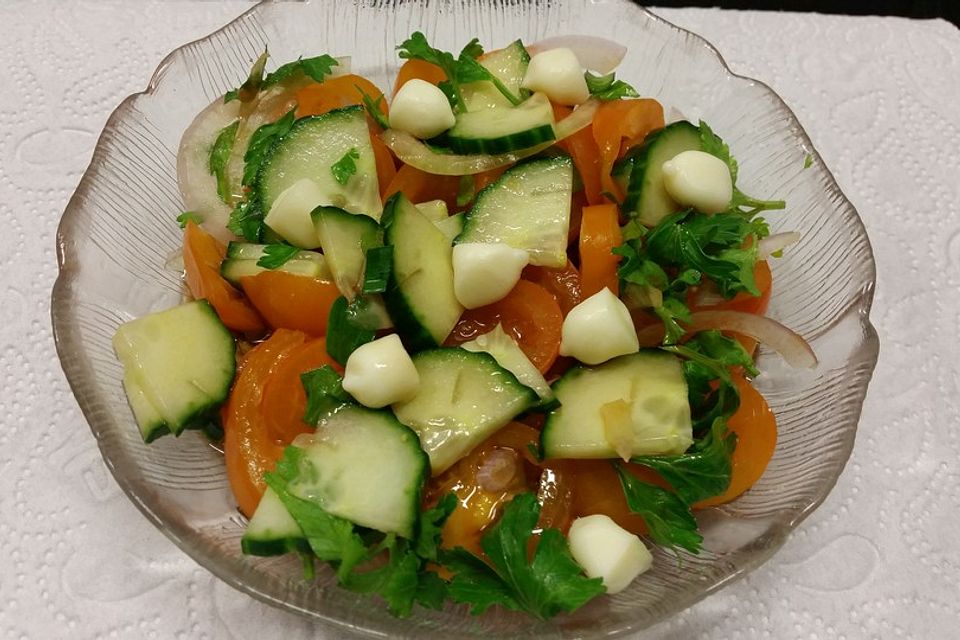 Tomaten - Mozarella - Gurken - Salat