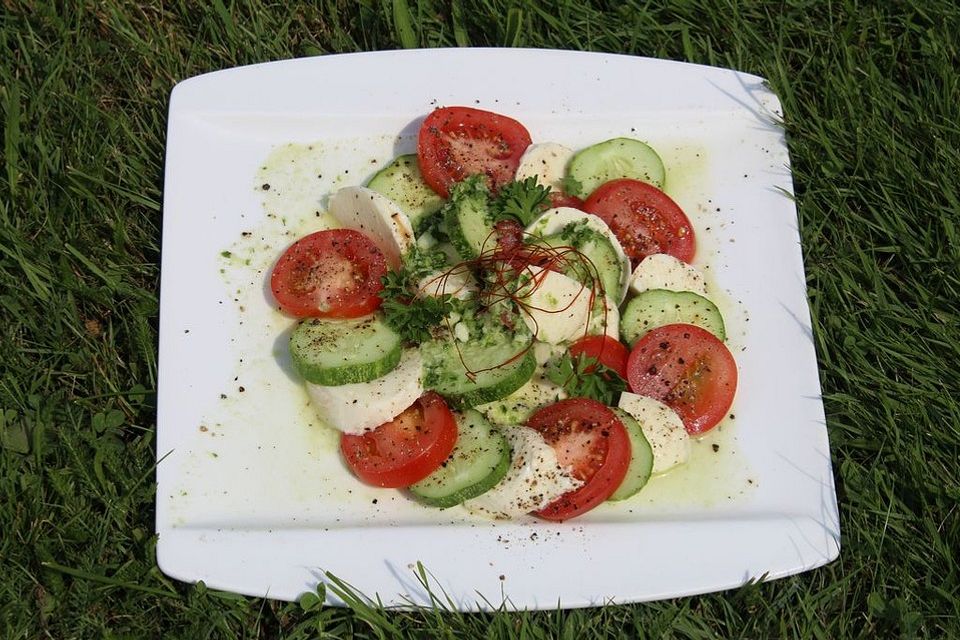 Tomaten - Mozarella - Gurken - Salat