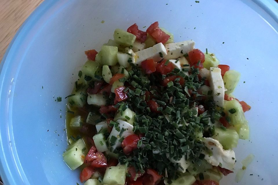 Tomaten - Mozarella - Gurken - Salat