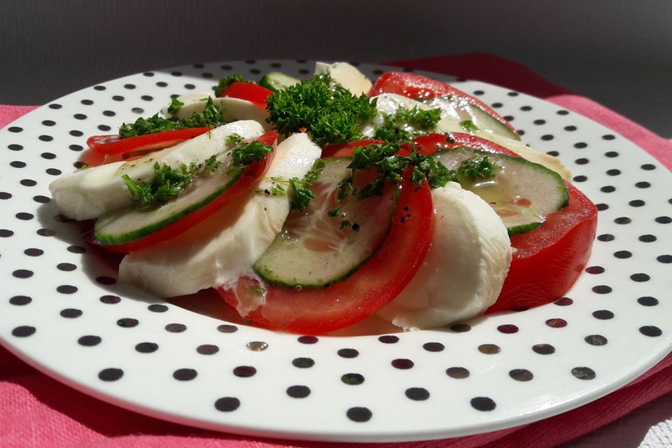 Tomaten - Mozarella - Gurken - Salat