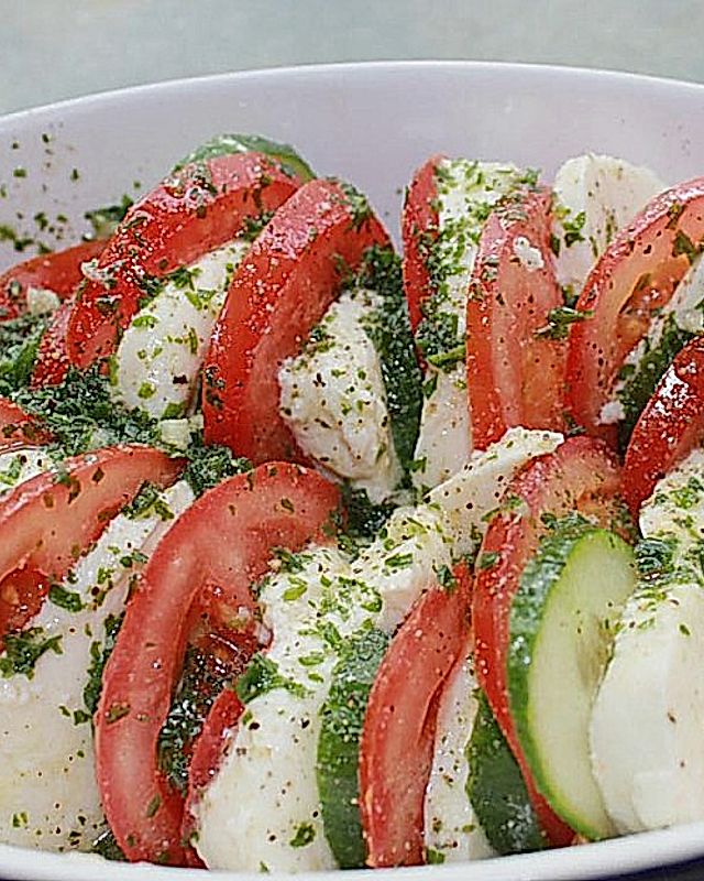 Tomaten - Mozarella - Gurken - Salat