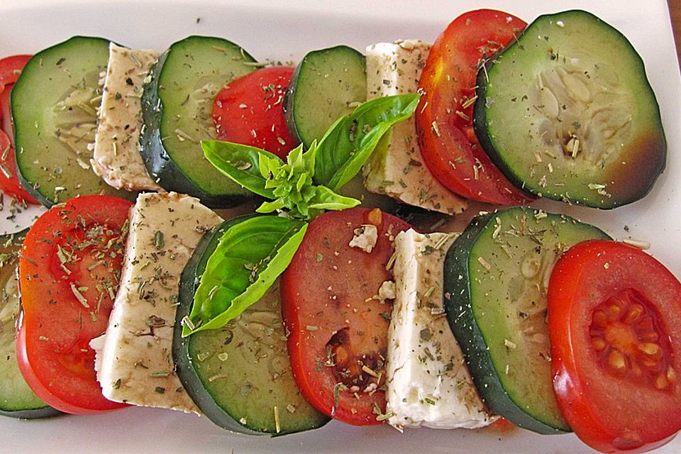 Tomaten - Mozarella - Gurken - Salat