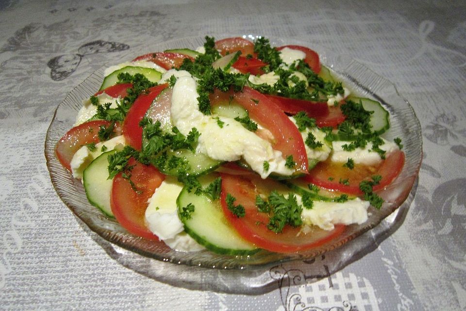 Tomaten - Mozarella - Gurken - Salat