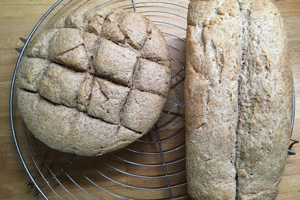 Kürbisbrot Kürbisbrot