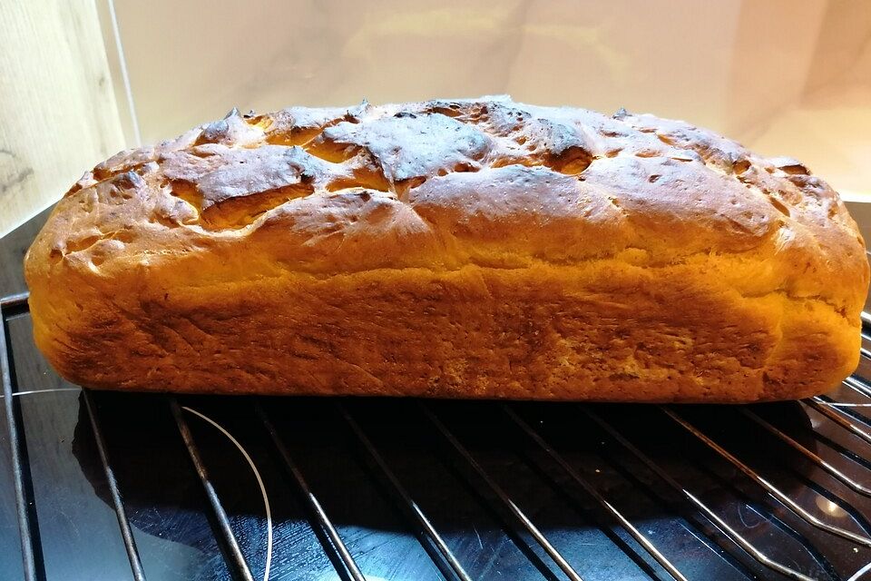 Kürbisbrot Kürbisbrot