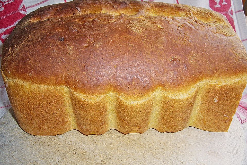 Kürbisbrot Kürbisbrot