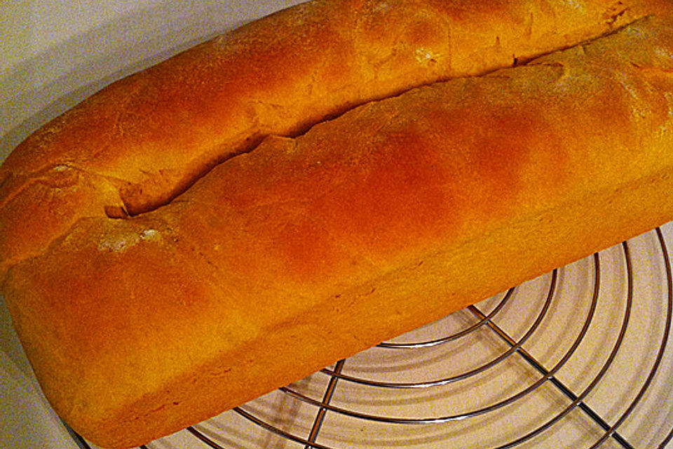 Kürbisbrot Kürbisbrot