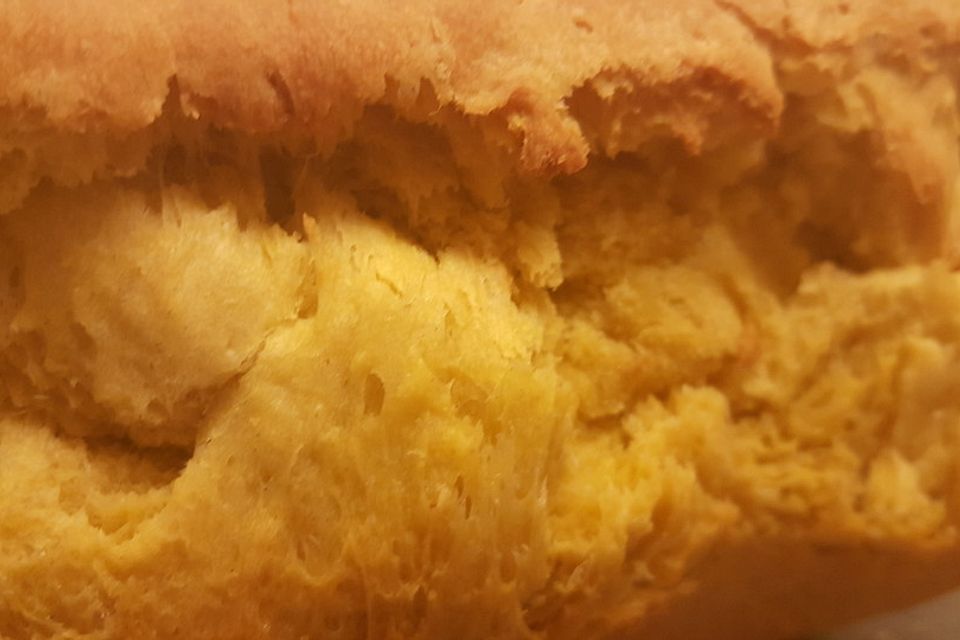 Kürbisbrot Kürbisbrot