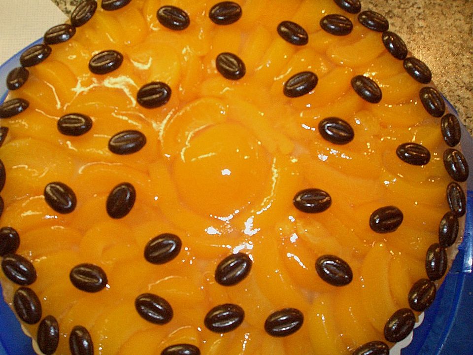 Cappuccino - Joghurt - Torte mit Aprikosen von Hobbykochen| Chefkoch