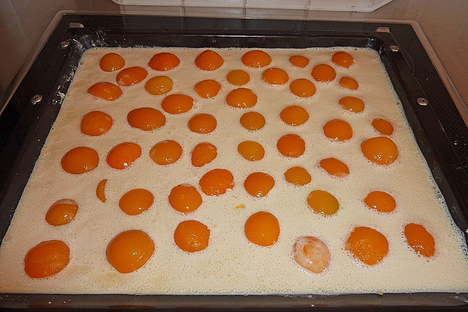 Aprikosen - Rahmkuchen