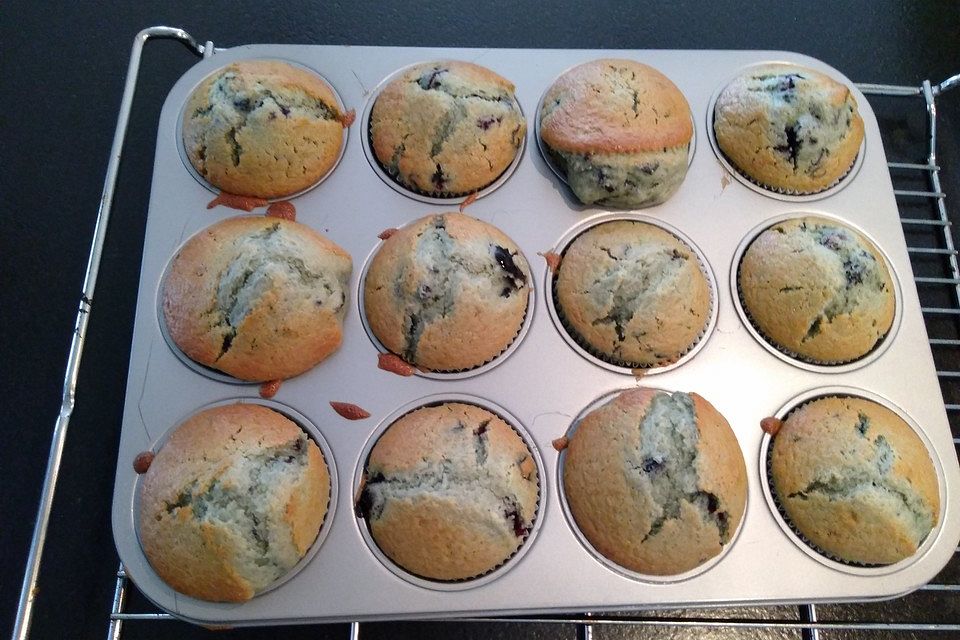 Blaubeer-Muffins