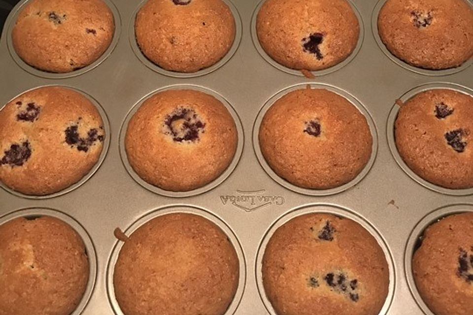 Blaubeer-Muffins