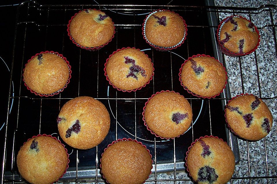 Blaubeer-Muffins