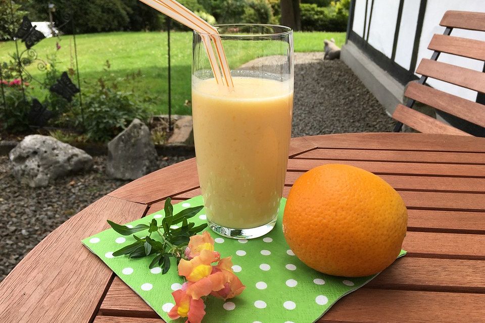 Orangen - Joghurt - Getränk