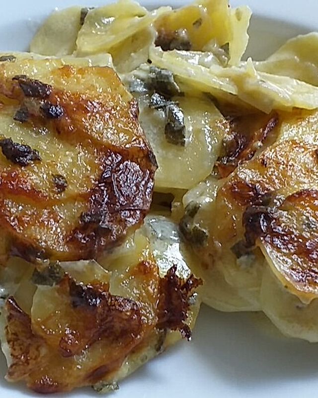 Salbei - Kartoffelgratin mit Parmesan